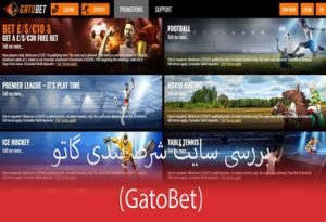 بررسی سایت شرط بندی گاتو (GatoBet) بهترین کازینو آنلاین خارجی